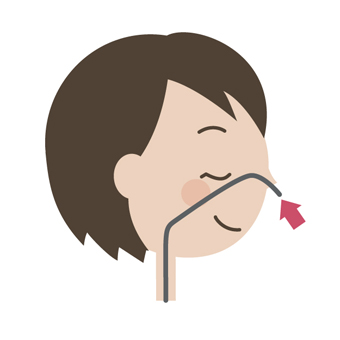 経鼻内視鏡検査イメージ